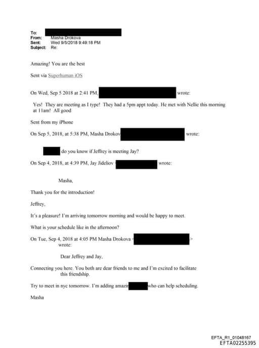 Preview of EFTA02255395