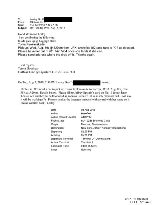 Preview of EFTA02255475