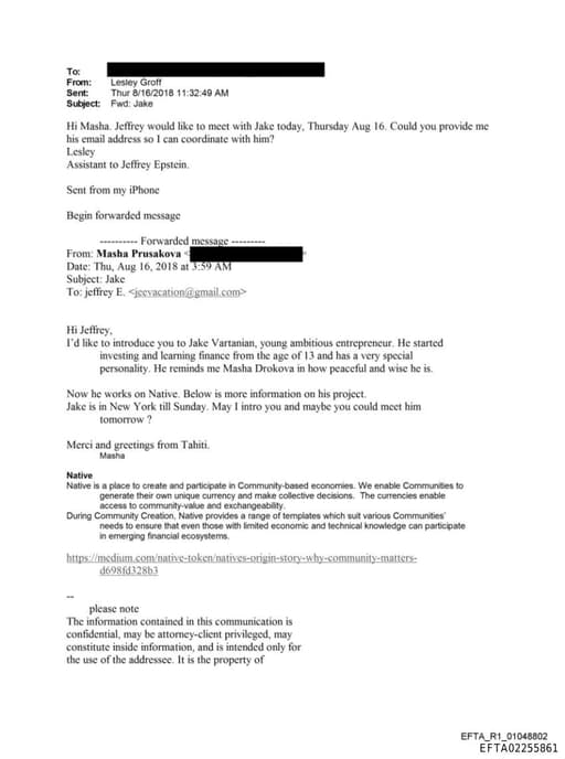 Preview of EFTA02255861