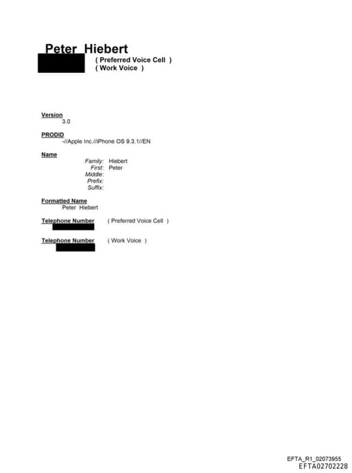 Preview of EFTA02702228