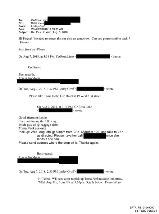 Preview of EFTA02256073