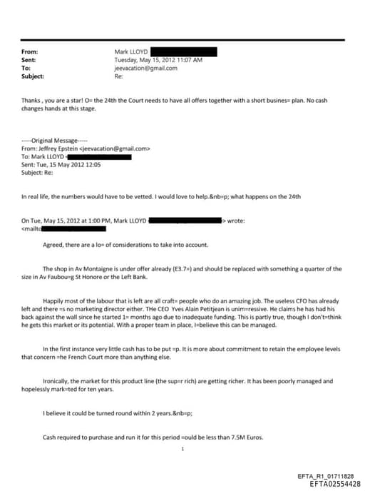 Preview of EFTA02554428