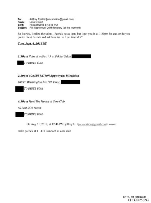 Preview of EFTA02256242