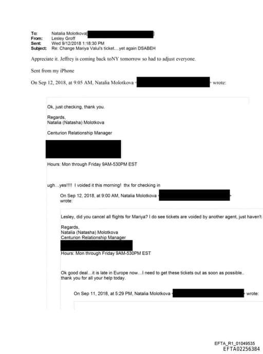 Preview of EFTA02256384