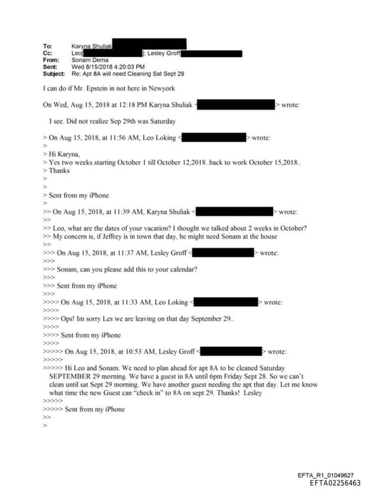 Preview of EFTA02256463