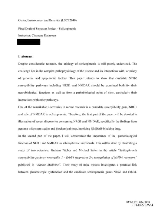 Preview of EFTA02702554