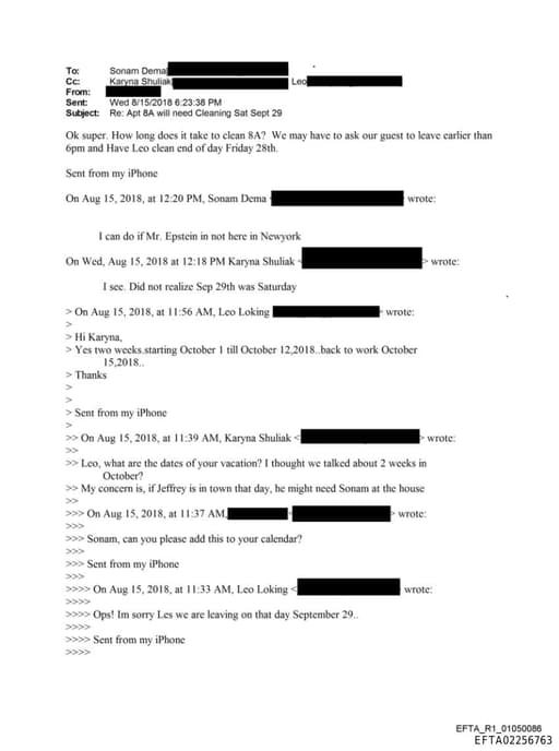 Preview of EFTA02256763