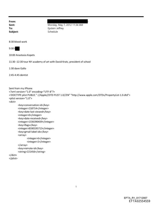 Preview of EFTA02554559