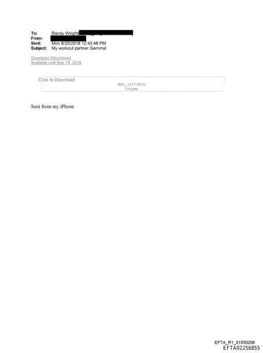 Preview of EFTA02256855