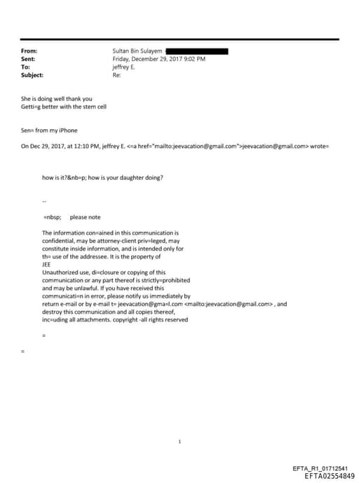 Preview of EFTA02554849