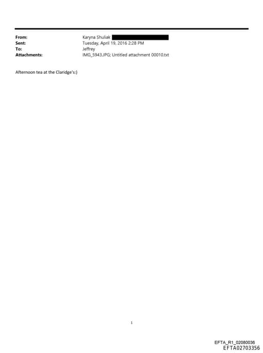 Preview of EFTA02703356