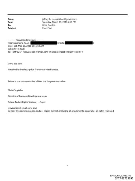 Preview of EFTA02703691