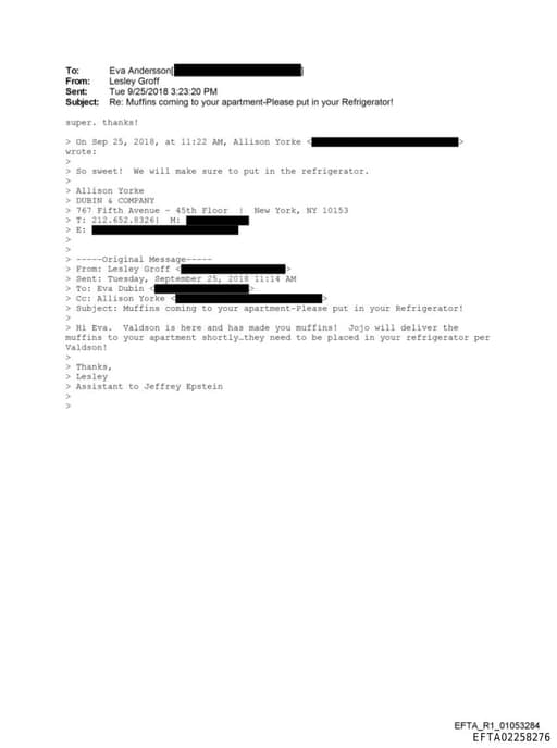 Preview of EFTA02258276