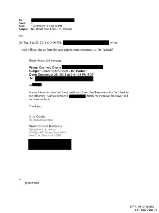 Preview of EFTA02258499