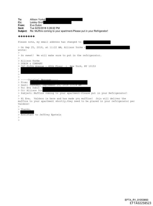 Preview of EFTA02258523