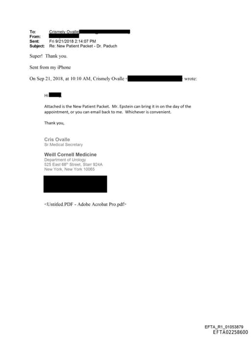 Preview of EFTA02258600