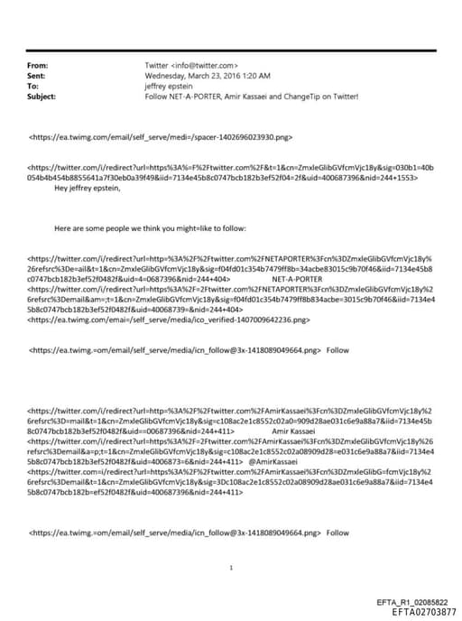 Preview of EFTA02703877