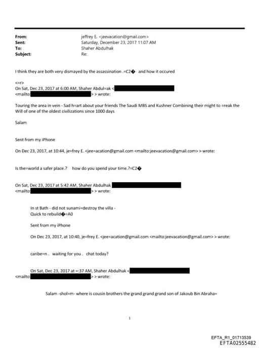 Preview of EFTA02555482