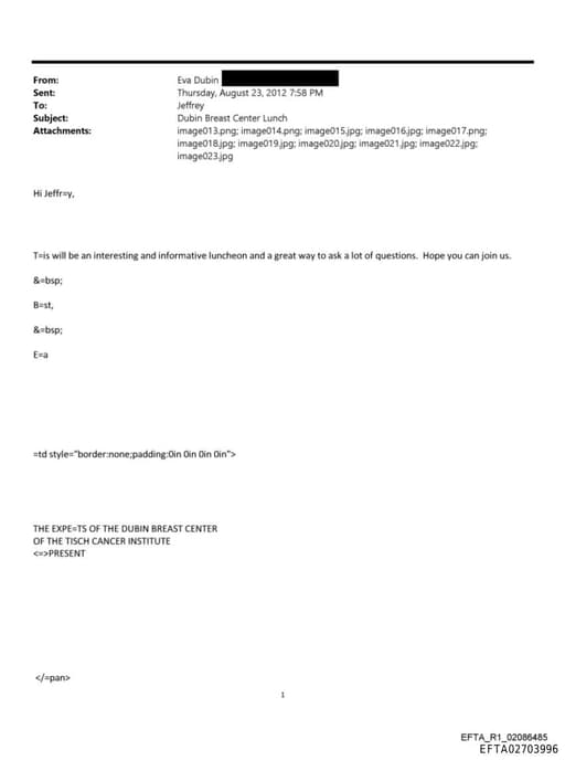 Preview of EFTA02703996