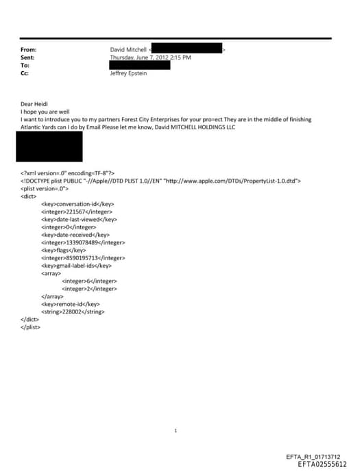 Preview of EFTA02555612