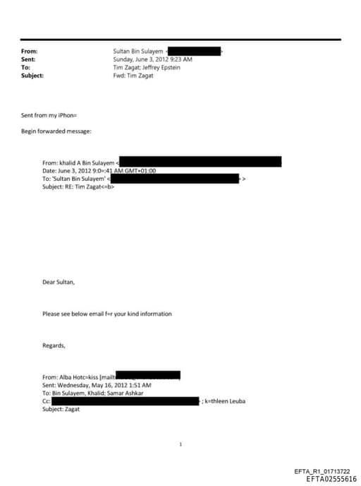 Preview of EFTA02555616