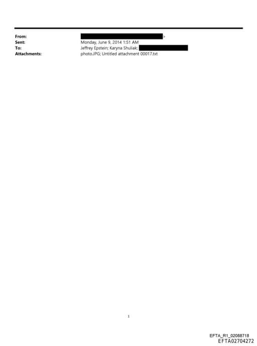 Preview of EFTA02704272