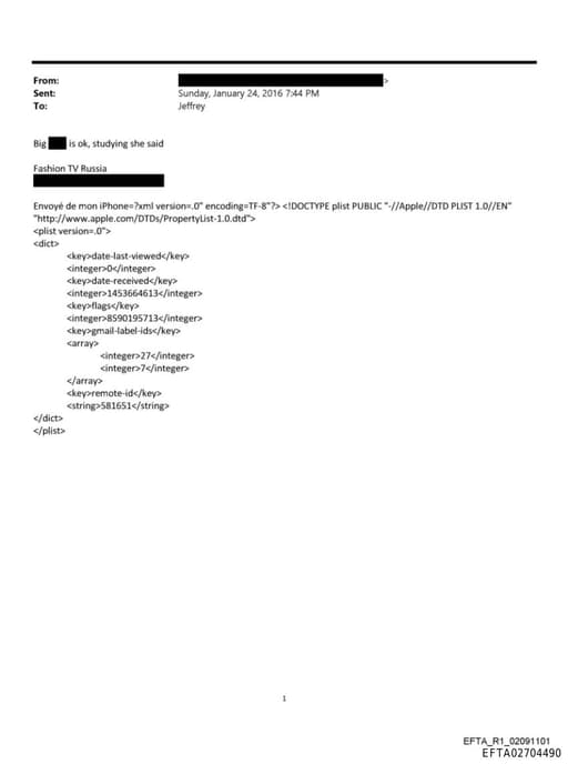 Preview of EFTA02704490