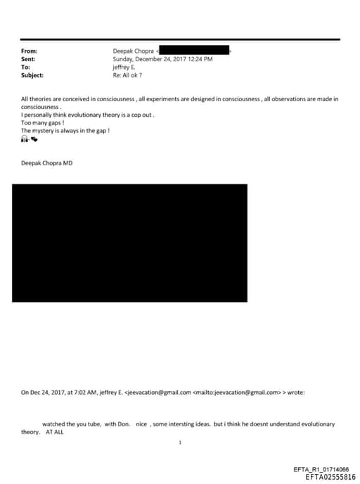 Preview of EFTA02555816