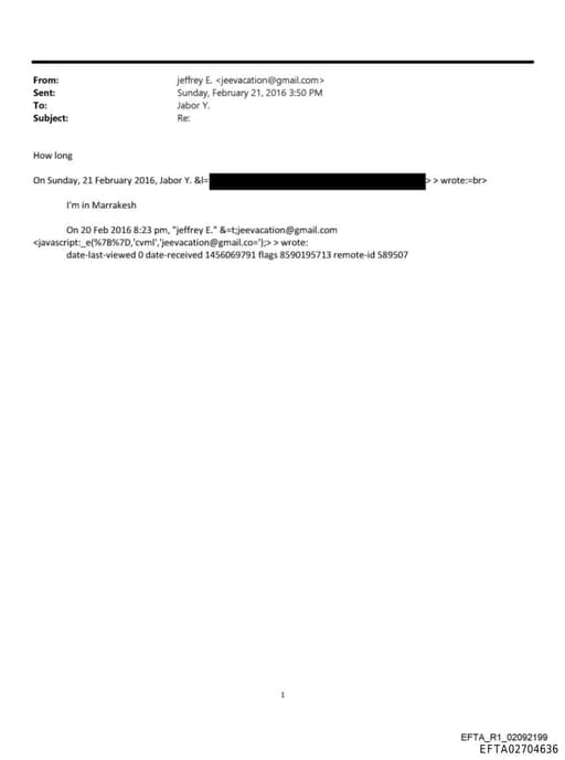 Preview of EFTA02704636