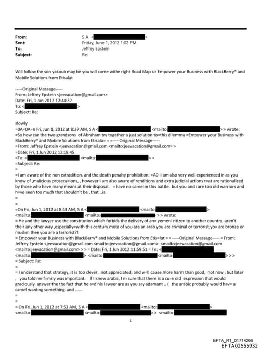 Preview of EFTA02555932