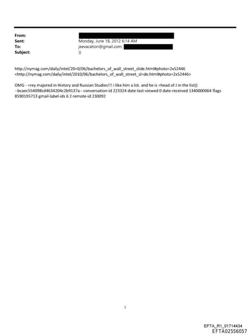 Preview of EFTA02556057