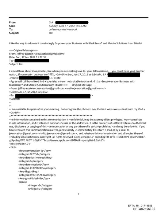 Preview of EFTA02556136