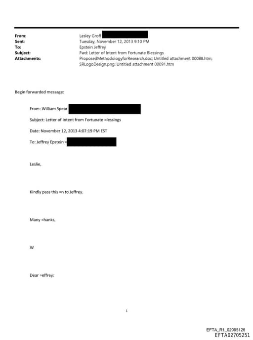 Preview of EFTA02705251