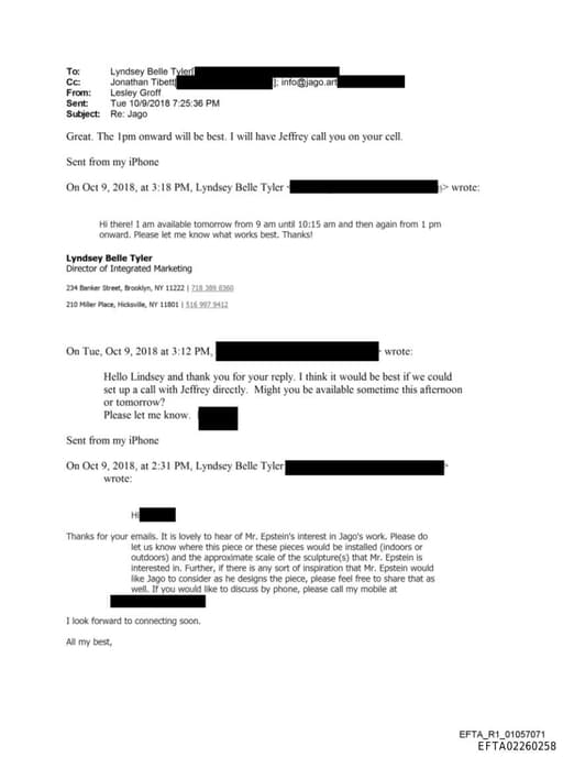 Preview of EFTA02260258