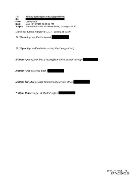 Preview of EFTA02260306