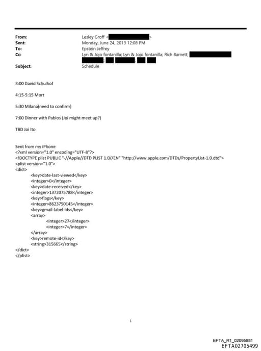 Preview of EFTA02705499