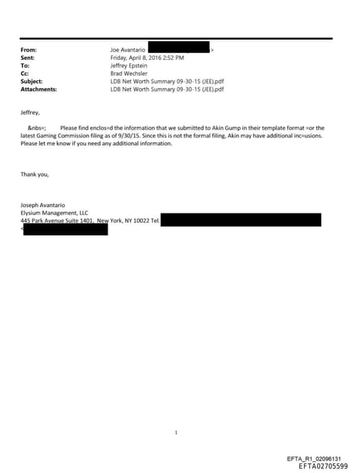 Preview of EFTA02705599