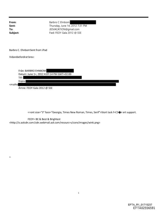 Preview of EFTA02556591