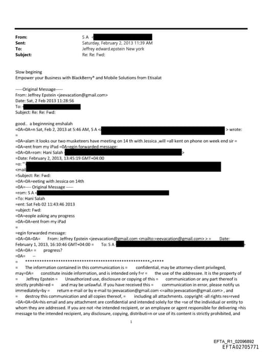 Preview of EFTA02705771