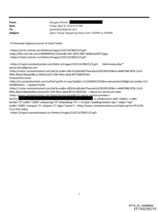 Preview of EFTA02705775