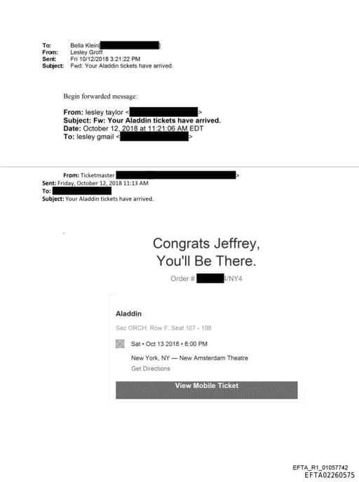 Preview of EFTA02260575