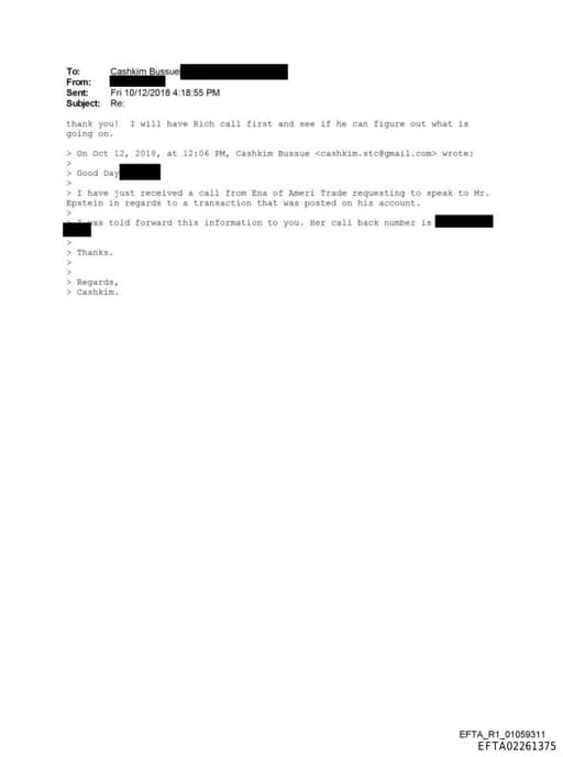 Preview of EFTA02261375