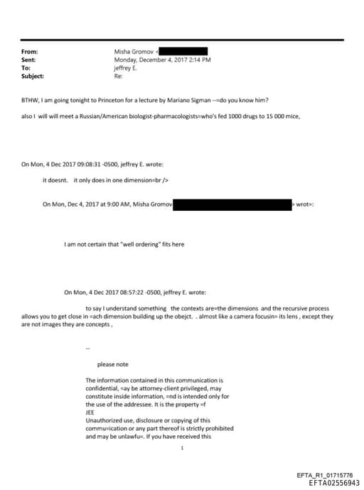 Preview of EFTA02556943