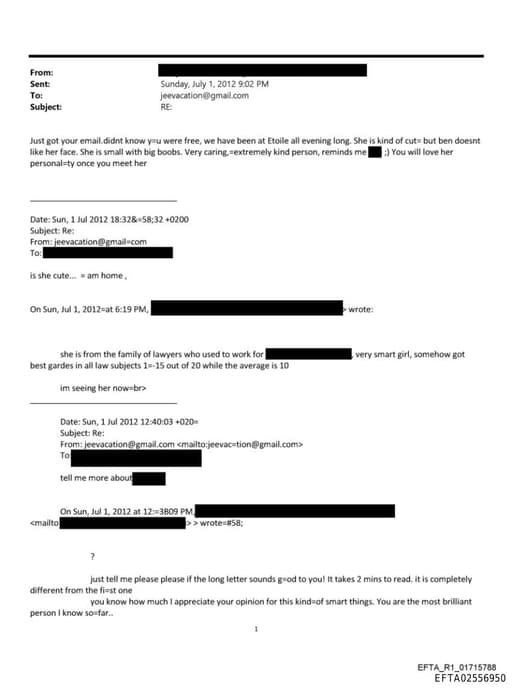 Preview of EFTA02556950