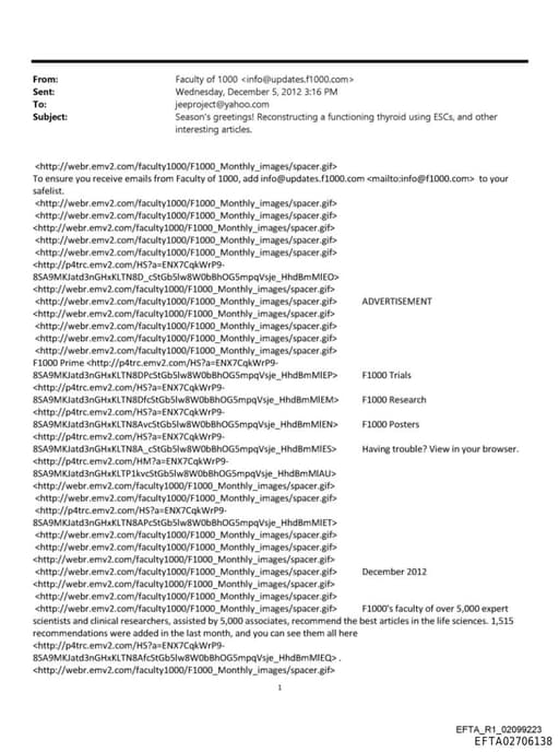 Preview of EFTA02706138