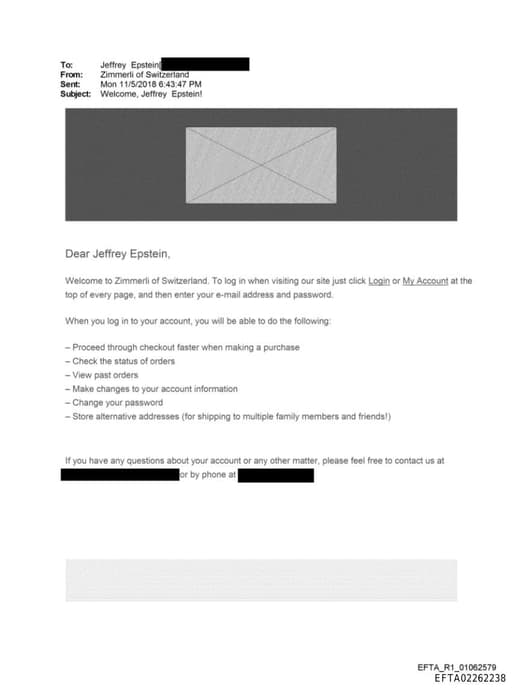 Preview of EFTA02262238