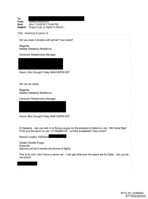 Preview of EFTA02262531