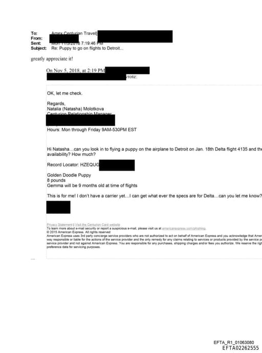 Preview of EFTA02262555