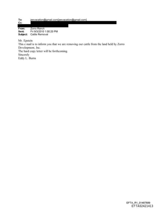 Preview of EFTA02421413