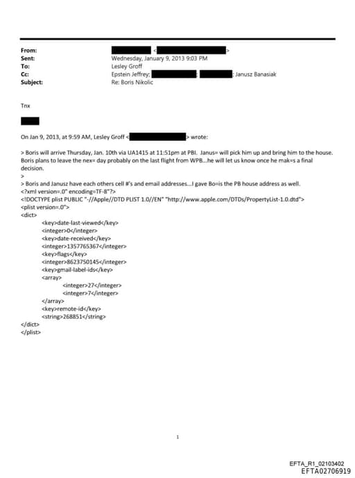 Preview of EFTA02706919